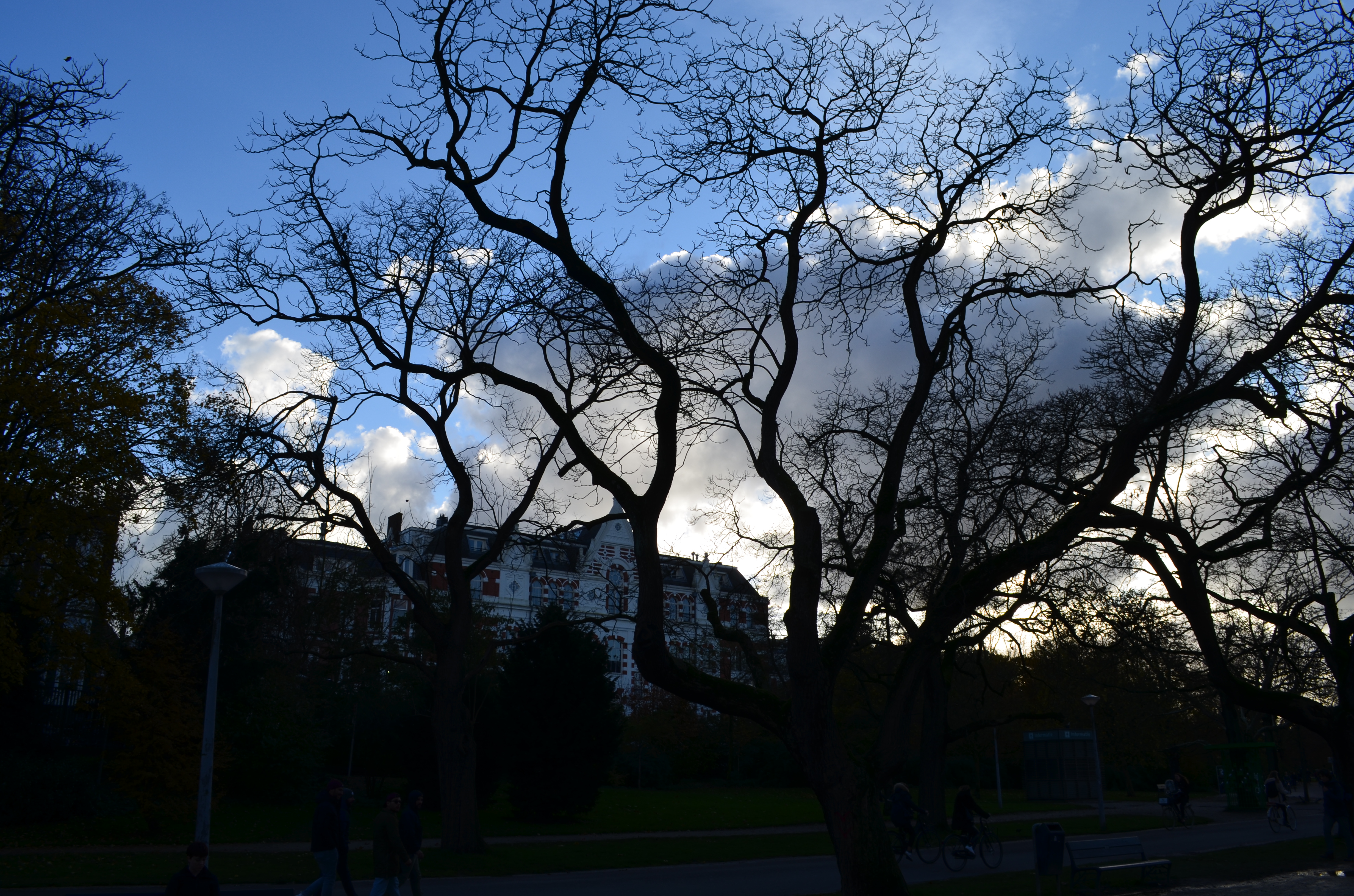 ./2017/19 - Viking Lif/13 - Amsterdam, The Netherlands/DSC_0538.JPG